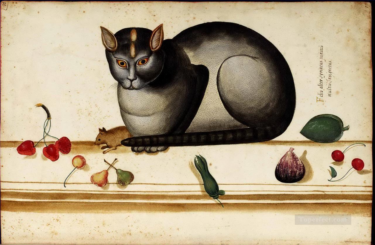 Souris chat italien et nature morte Peintures à l'huile